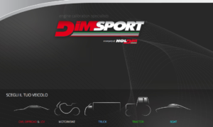 Dimsport