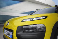 C4 Cactus 3