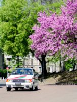 Citroën Visa -April 10, 2016-088