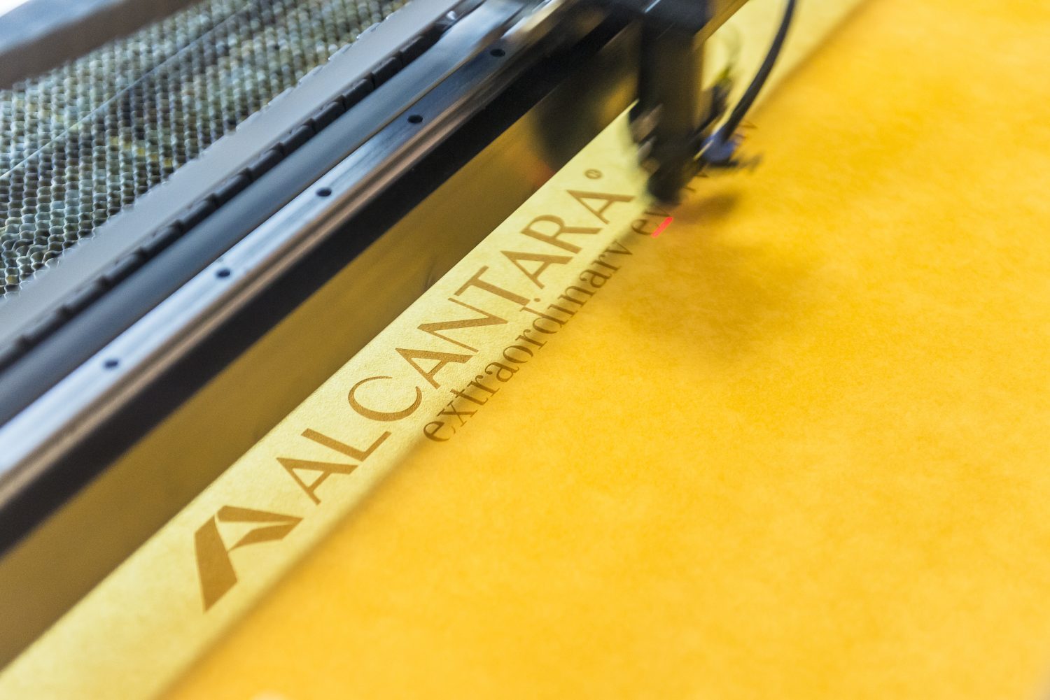 Alcantara
