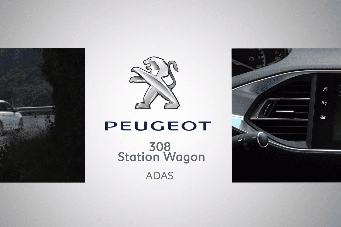 308 SW_ADAS