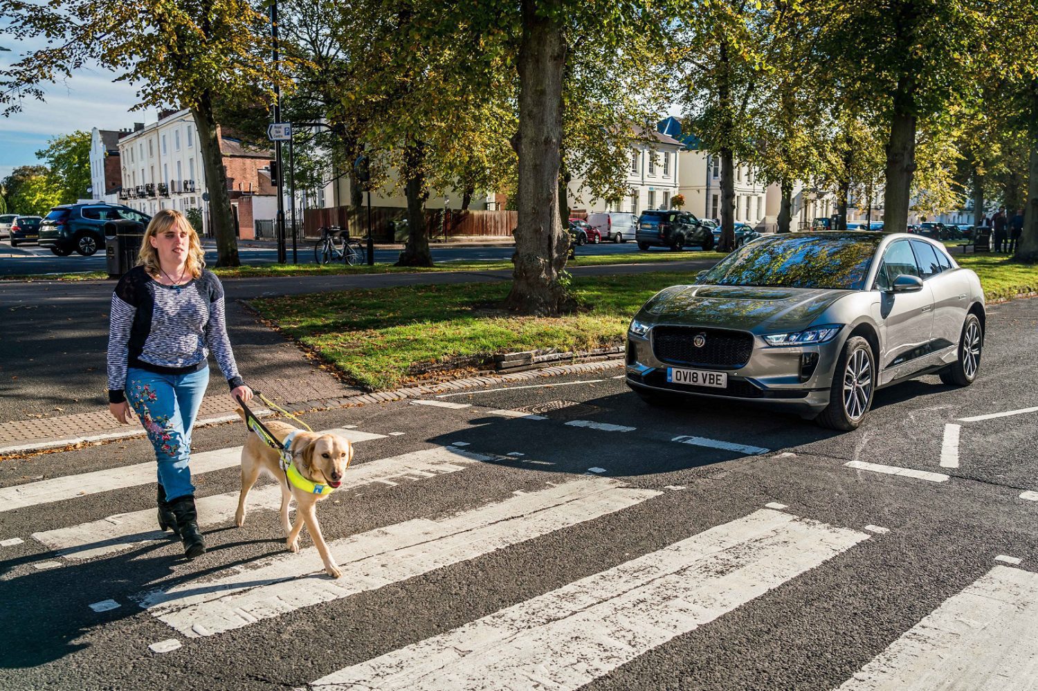 Jaguar I-Pace_sistema AVAS