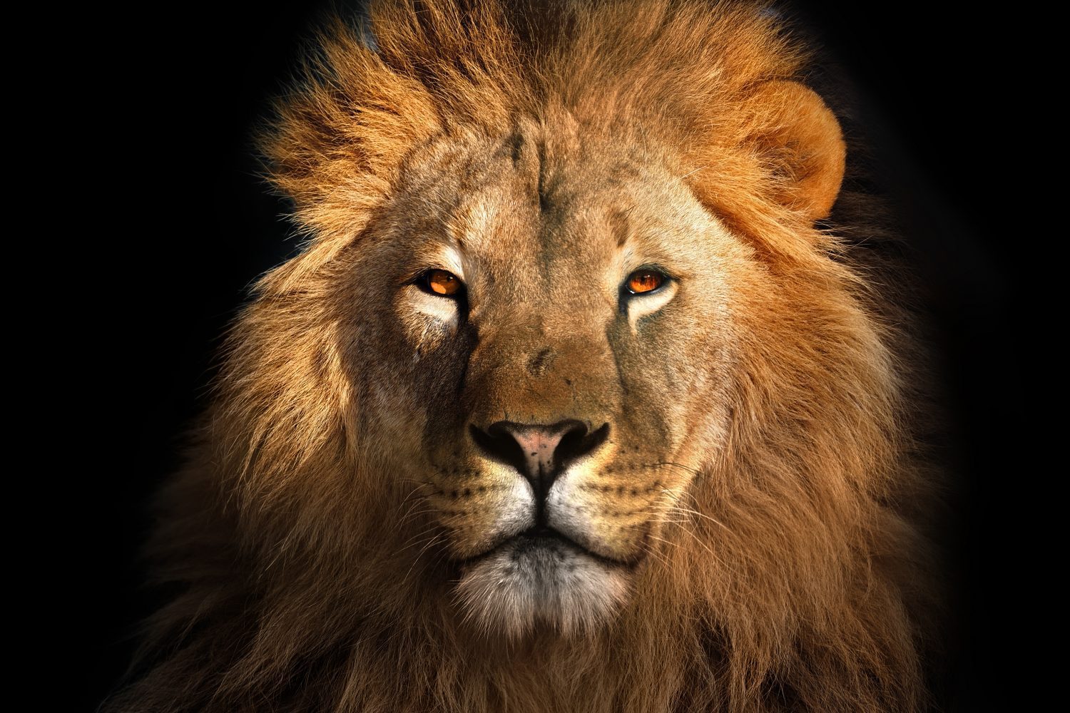 Vendite Peugeot 2018