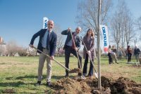 Suzuki pensa green e regala 30 alberi di ciliegio alla città di Torino