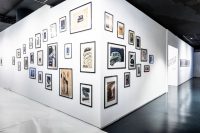 125volteFIAT (5) (1)