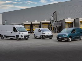 fiat professional
