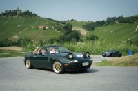 ALB_0882