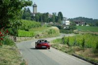 ALB_3442