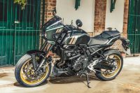 suzuki-gsx-8tt-verde-rio-14-