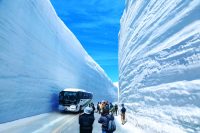 Tateyama Snow Corridor, il canyon bianco del Giappone