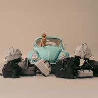 Anche i pet hanno diritto a viaggi sicuri