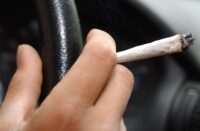 Polvere bianca sul volante